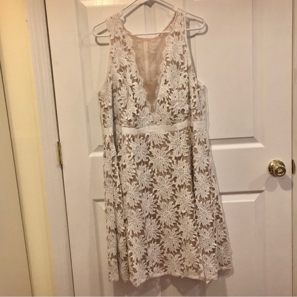 Adrianna Papell  Plus Size Dress